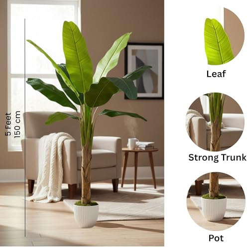 Image of Kayra Decor Artificial Banana Plant 5 Feet with Pot | Big Size Artificial Plants for Home Decor | Indoor Fake Tree for Living Room, Balcony, Office | Bird of Paradise Lifelike Plant with Pot