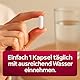 Cranberry Kapseln mit 36 mg Proanthocyanidinen – Quelle natürlicher Pflanzenstoffe – 90 Kapseln – Laborgeprüft – Hergestellt in der EU