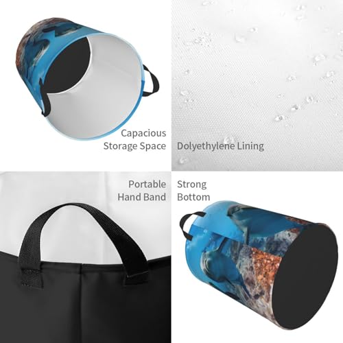Panier à linge imperméable pliable avec dauphin amusant et poignées - 4
