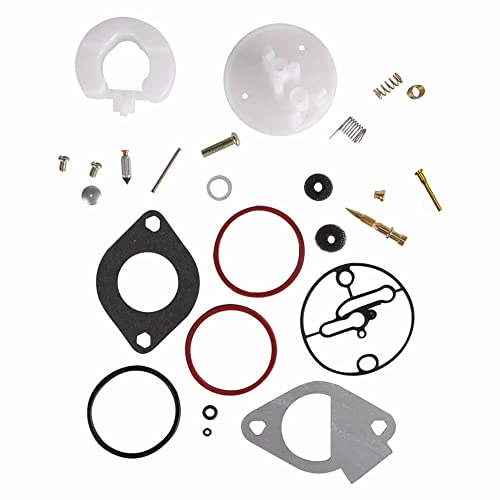 LIQIANG Master Overhaul Nikki Kit de réparation de carburateur compatible pour tondeuse à gazon Briggs & Stratton 796184 remplace 698787 699900 699521 792369 Cover