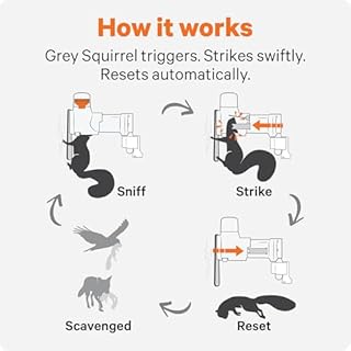 Goodnature A18 Grey Squirrel Trap, Self-Resetting, CO₂-Powered, Humane, Toxin-Free, Outdoor Use, Digital Counter, Ideal for Backyards, Parks & Conservation Sites