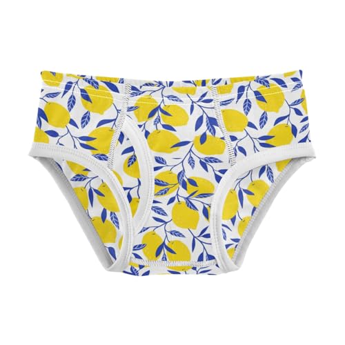Boys' Exclusive Briefs Toddler Underwear 95% Combed Cotton Boxerbriefs 2T Lemon and Leaf Pattern 64