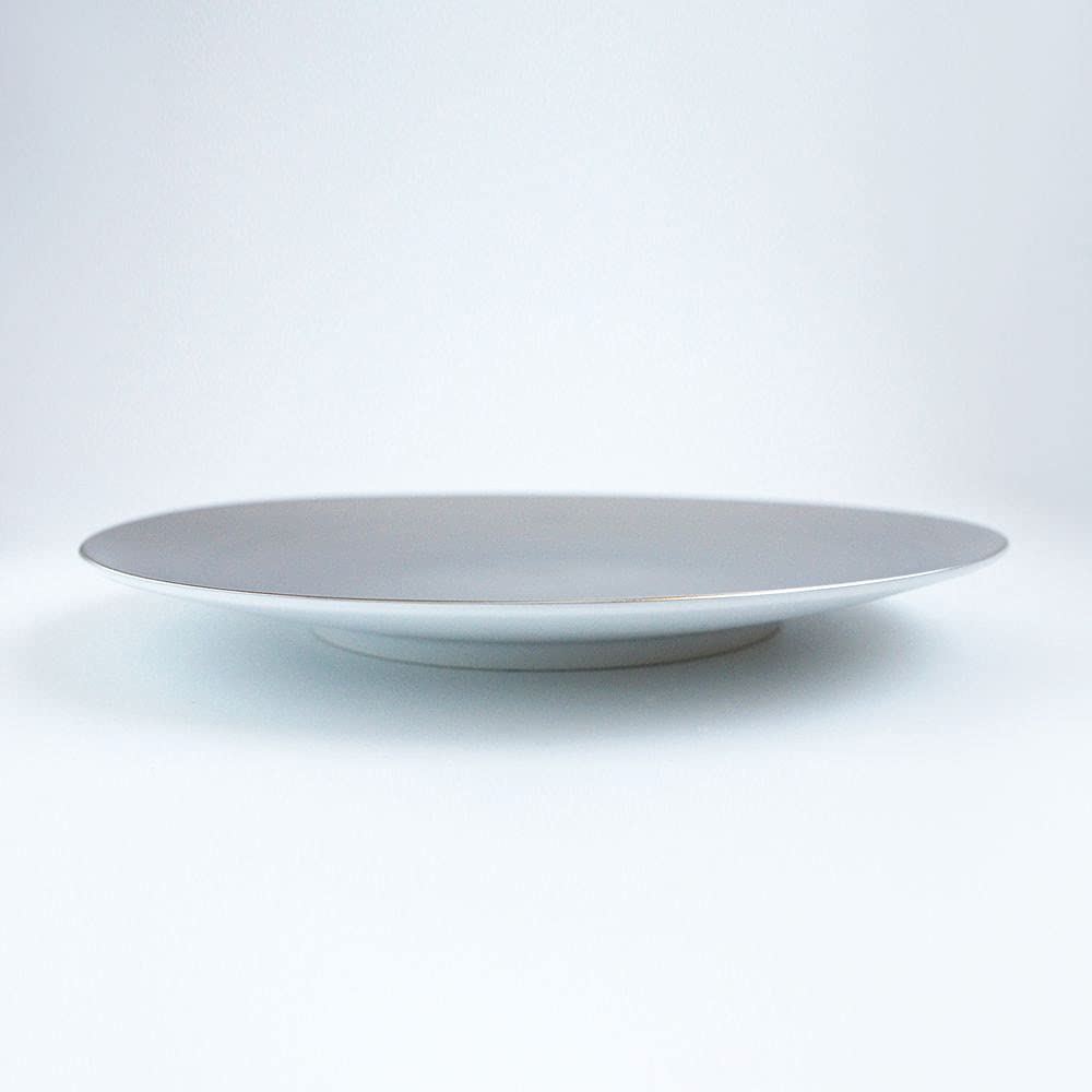 Amazon | ARITA PORCELAIN LAB フラットプレート L φ297×h34mm