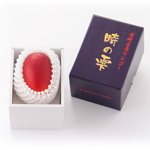 宮崎県川南町 [令和8年発送]宮崎県産 完熟マンゴー「時の雫」 2L×1玉