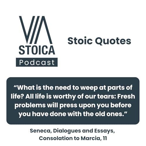 Stoic Quote: What is the need to weep over parts of life? The whole of it calls for tears.