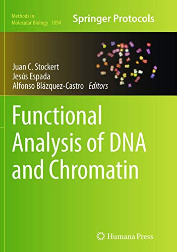 Functional Analysis of DNA and Chromatin (Methods in Molecular Biology, 1094)