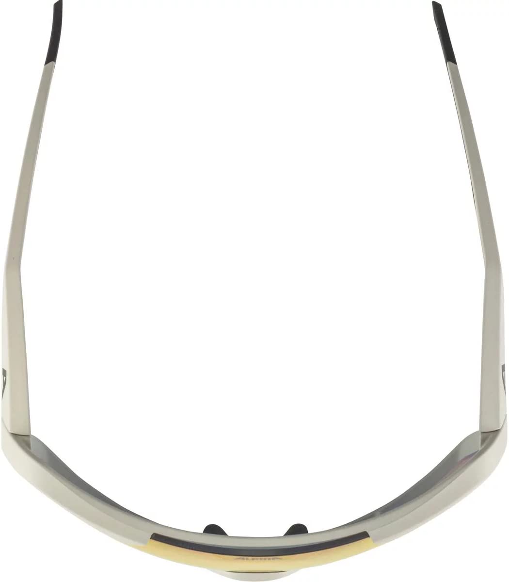 ALPINA Unisex - Dorośli, ROCKET QV Okulary sportowe, cool-grey matt/rainbow, One Size