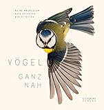 Vögel ganz nah