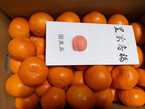 �݂��� �y���ʉ��z S~M 5kg ��50�`65�� �ƒ�p �É��� �l���s ���� �~�J�� �s10/���{�`10/���{���o�׊J�n�t