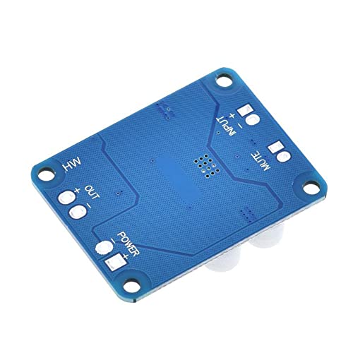 Youmile 2 Pz DC8-24V TPA3118 PBTL Scheda