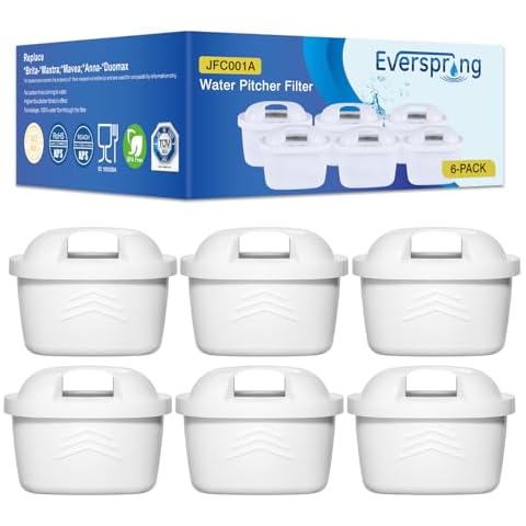 Filtre à eau EVERSPRING pour Brita Cover