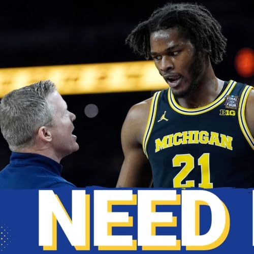Morez Johnson Could Improve Warriors Defense From DAY 1