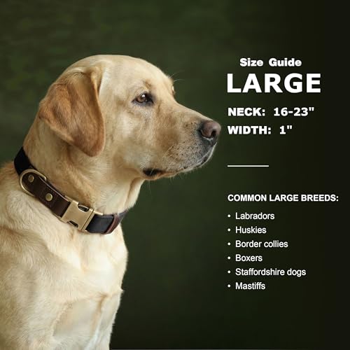 Image of Didog PU Leather Dog Collar for Large Dogs, Soft Nylon Lining, Black L