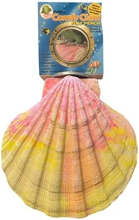 Edible Bird Perches with Nutrients – Which Ones Truly Deliver? 8 Polly