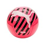 PUMA ビッグキャットボール