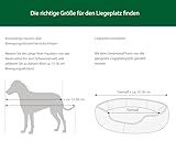 Dehner Lieblinge Hundebett und Katzenbett Sammy, oval, ca. 45 x 40 x 14 cm, Polyester, grau