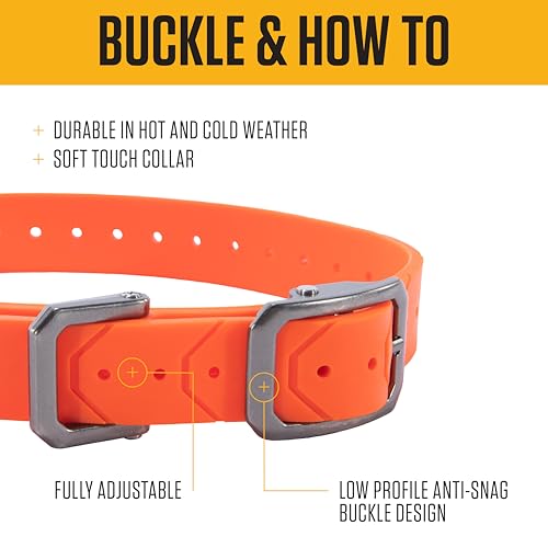 Carhartt Hundehalsband, verstellbar, wasserfest, Hunter Orange, Einheitsgröße