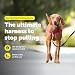 PetSafe Easy Walk Harness Red Medium by