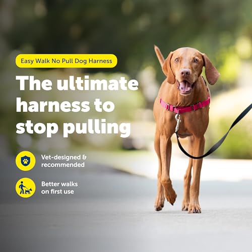 PetSafe Easy Walk Harness Red Medium by