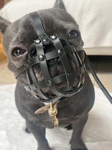 L&J Pets Uk Maulkorb für Französische Bulldogge, leichtes Leder (Braun)