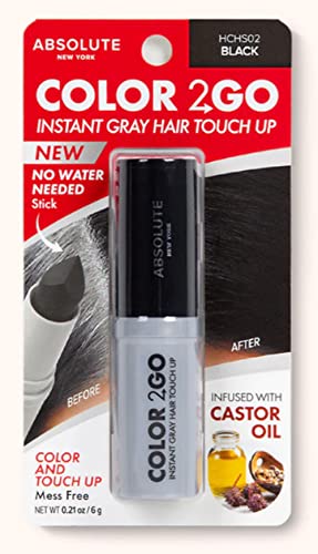 Absolute New York Color 2 Go - Instant Root Touch Up Hair Stick (HCHS02 Black, .21 oz)