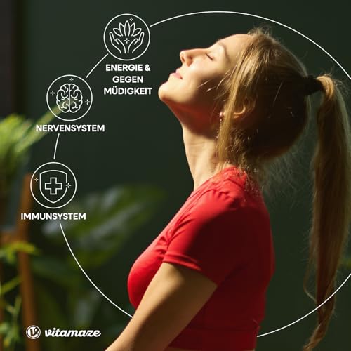 Vitamin B12 500 mcg hochdosiert, 360 Tabletten für 1 Jahr mit 375 mcg Vitamin B9 Folsäure + Vitamin B6, Natürliche Nahrungsergänzung ohne Zusatzstoffe, Made in Germany