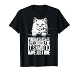 Persian cats are like chocolate its hard to have just one diciendo Gatos persas regalo Persa. Gatito persa hombre Mamá persa mujer.
