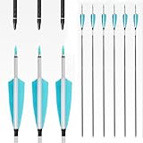 PHILOCS 12 Stück 3K Carbon Weave Pfeile Spine 250 300 350 400 500 600 ID 6,2 mm 4'' Lake Blue White Truthahnfedern, für Bogenschießen Jagd (30inch,Spine 250)