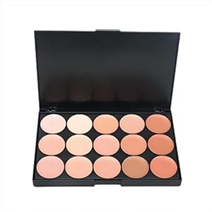 15 Colors Concealer Foundation Contouring Cream and Highlighter Makeup Set – Contouring Foundation/Concealer Palette – Vegan, Animal free and hypoallergenic (Z15-02)