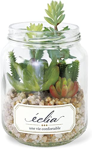 Ղ莿ɖ A񂹐A lHϗtA a9.5×15.5cm {g^CvC CYɂ CTG} L A[eBtBVO[ R ɂ lybgɂS GF[wbN