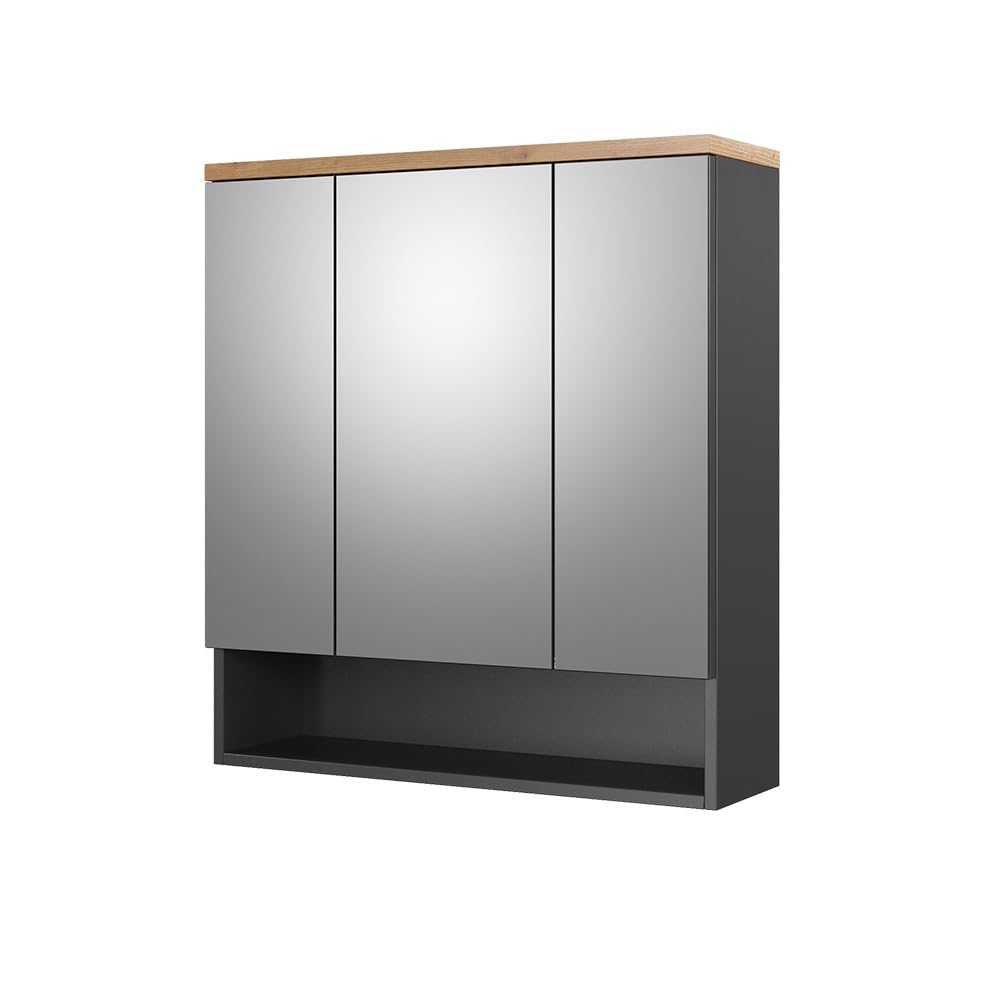 Vicco Specchio contenitore bagno Eden, Antracite, 70 x 77.5 cm, per montaggio a parete con suddivisione interna variabile