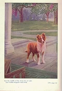 1924 HEART OF A DOG COLLIE ALBERT P. TERHUNE ILLUSTRATED COLOR PRINTS GIFT IDEA