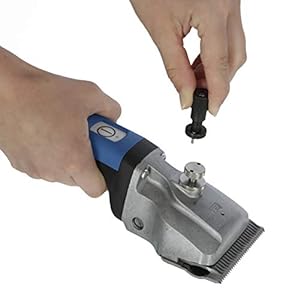 Aesculap GT654 Bonum Akku Großtierschermaschine Pferd