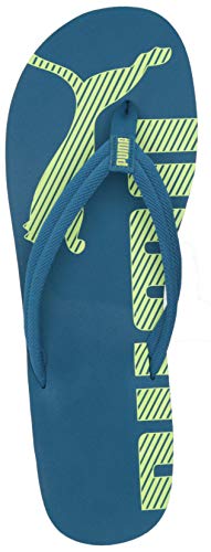 Image of Puma Unisex-Adult Epic Flip V2 Jr Sandal