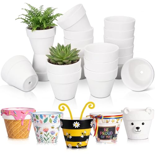 Ferrochef 2.5 Inch Mini Blank Ceramic Flower Pots for Painting Crafts, Unfinished White Terracotta Planters to Paint Nursery Pots for Spring Cactus DIY Crafts Art Activities (20 Pcs) by Ferrochef - Used condition - US$16.66