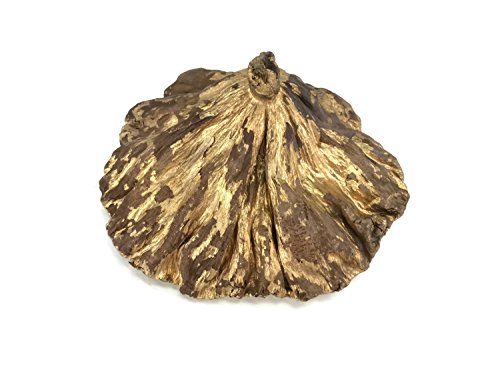 Flor seca de loto dorada artesanal para decoración miniatura 3