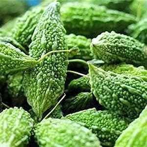 Gourd Bitter Melon Dark Jade 100pcs Seeds for Planting, Hybrid Non-GMO, Asian Vegetable, Green Skin Bitter Melon, Momordica Charantia, Garden Seed, High Fiber & Nutrition