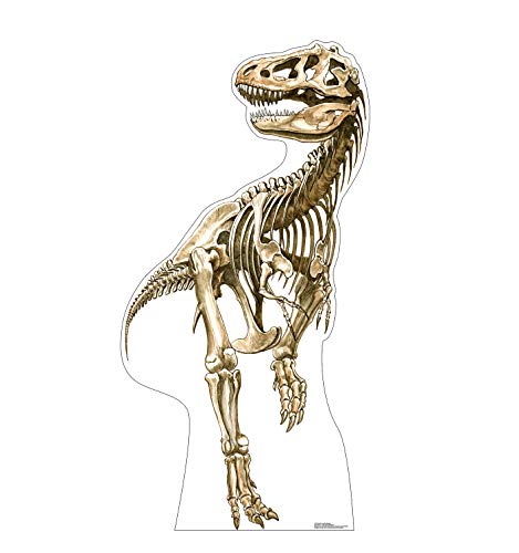 Cardboard People Tyrannosaurus Rex Skeleton Cardboard Cutout