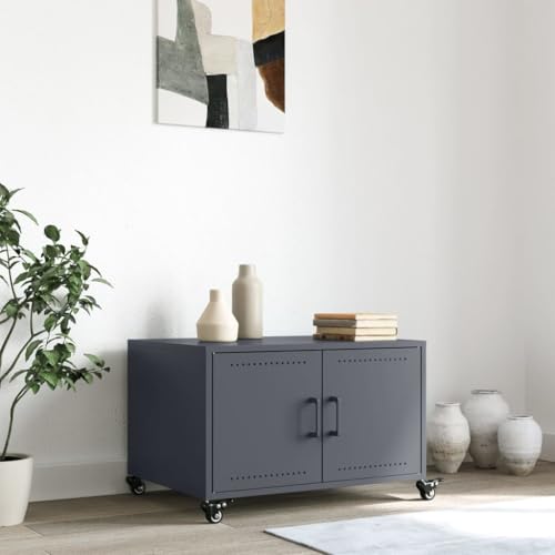 Table basse gain de place avec grands rangements fermés
