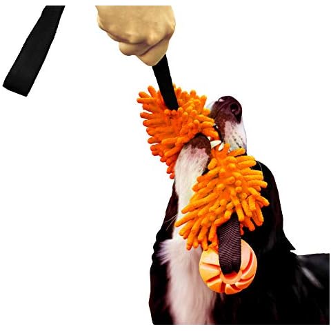DINGO Floatable Tug Toy with Bungee Handle Cover