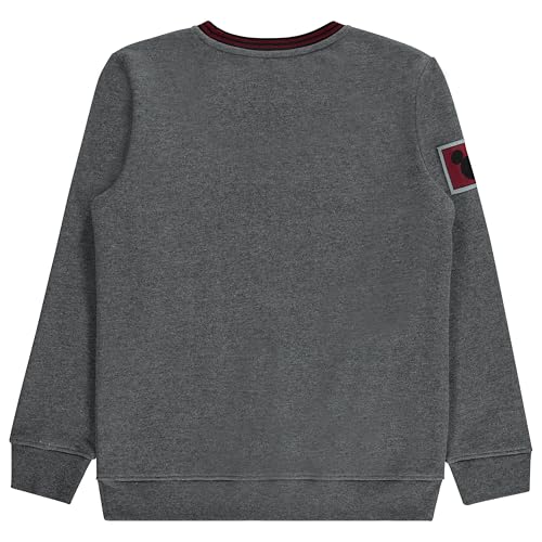 Mickey Mouse Boys Crewneck Sweatshirt - Chenille Logo Patch Pullover Sweatshirt - Classic mickey and Minnie Mouse Sweatshirt2