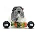 HAYPIGS Meerschweinchen Zubehoer und Spielzeug - Piggy Weightlifter Futterspieß im Zirkus-Look – Meerschweinchen Spielzeug – Kaninchen Spielzeug - Hamster Spielzeug – Ratten Spielzeug