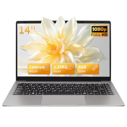 LONGEVINCE Ordinateur Portable 14 Pouces, 8 Go DDR4, IPS 1920 x 1080, Celeron N4120, avec Protection De Clavier AZERTY en Français,(Gris, 8GB+256G SSD)