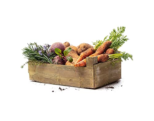 defu Hundefutter | 1 x 10 kg | Adult getreidefrei Bio Geflügel | Premium Bio Trockenfutter für ausgewachsene Hunde