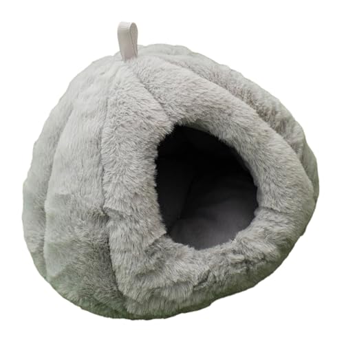 nlY~xbhbgBƃnX^[P[WANZT[􂦂~gƃETMtFbgnX^[P[WANZT[xbh