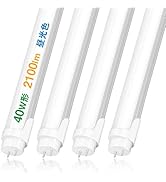 Amazon.co.jp : 共同照明 ダクトレール用スポットライト E26 レール