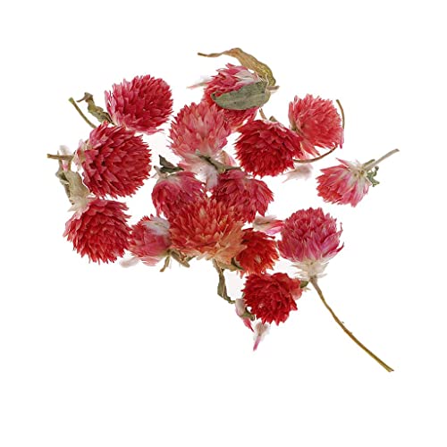 2X 4g/Bolsa de flores secas naturais para fazer velas, fabricação de ornamentos de resina