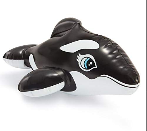 intex puff n play water toys