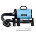 CHAOLUN High Velocity Pet Hair Dryer - Blower Grooming Dryer with Heater Dogs & Cats, 3.2HP 2400W Powerful Blow Force, Stepless Adjustable Speed, Reduce Noise, Heat Insulation, Sky