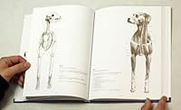 GRAND COURS D'ANATOMIE ARTISTIQUE : L'ANIMAL - LES BASES DE L'ART PRATIQUE 3833157372 Book Cover